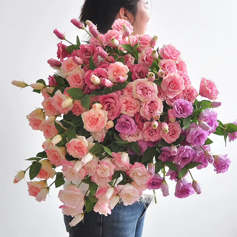 Fleurs artificielles soie rose Lisicodon Platycodon maison chambre décoration réel toucher fausse fleur Simulation Platycodons branche