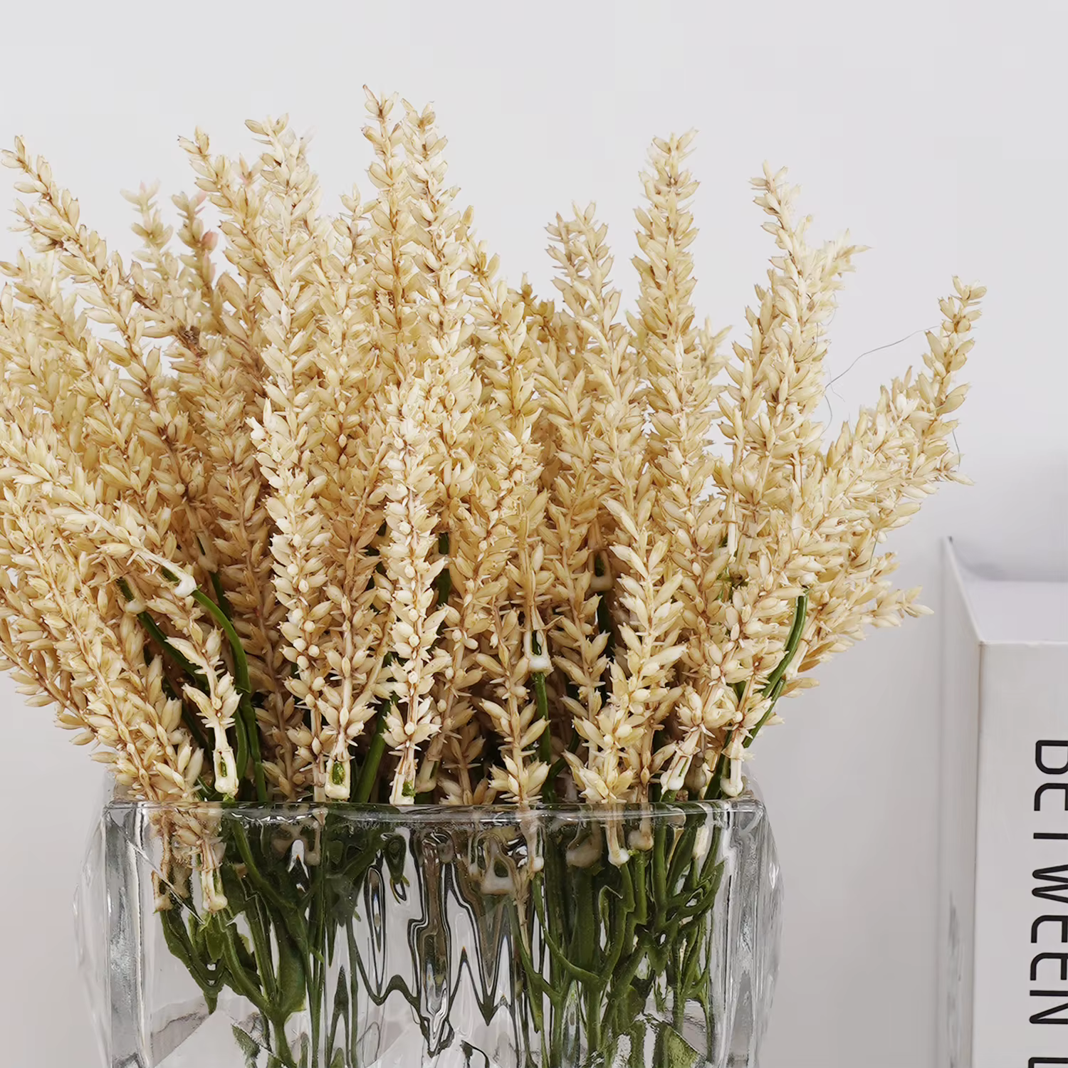Plantes artificielles naturelles