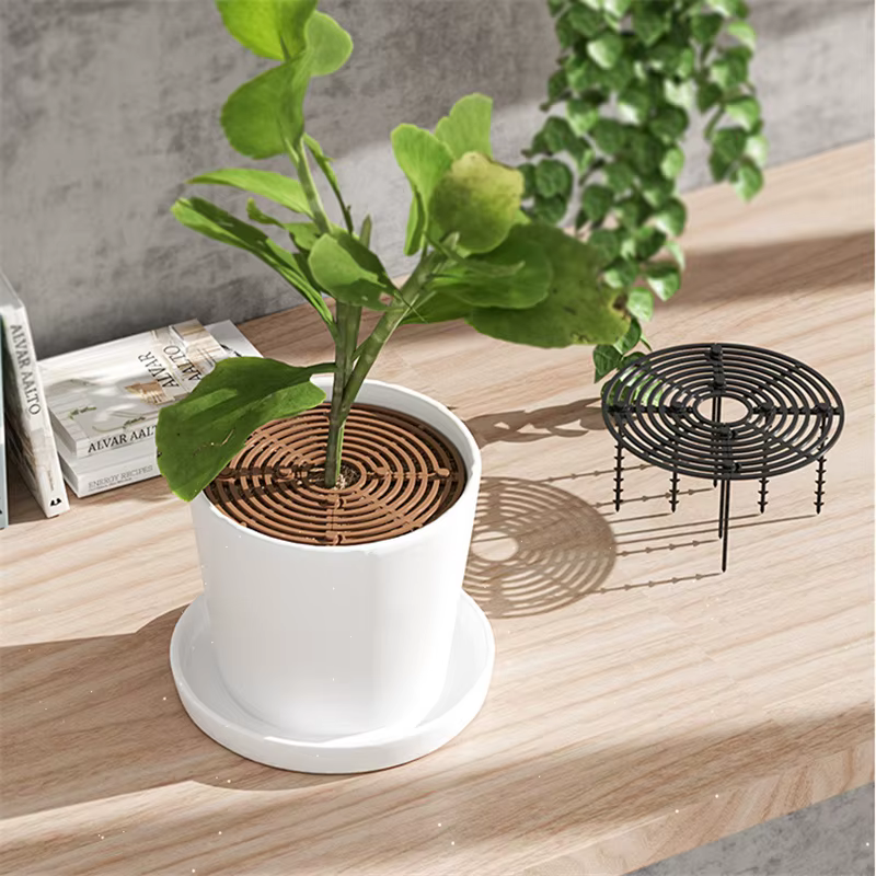 1PC Pot de plante garde de sol avec clous Pot