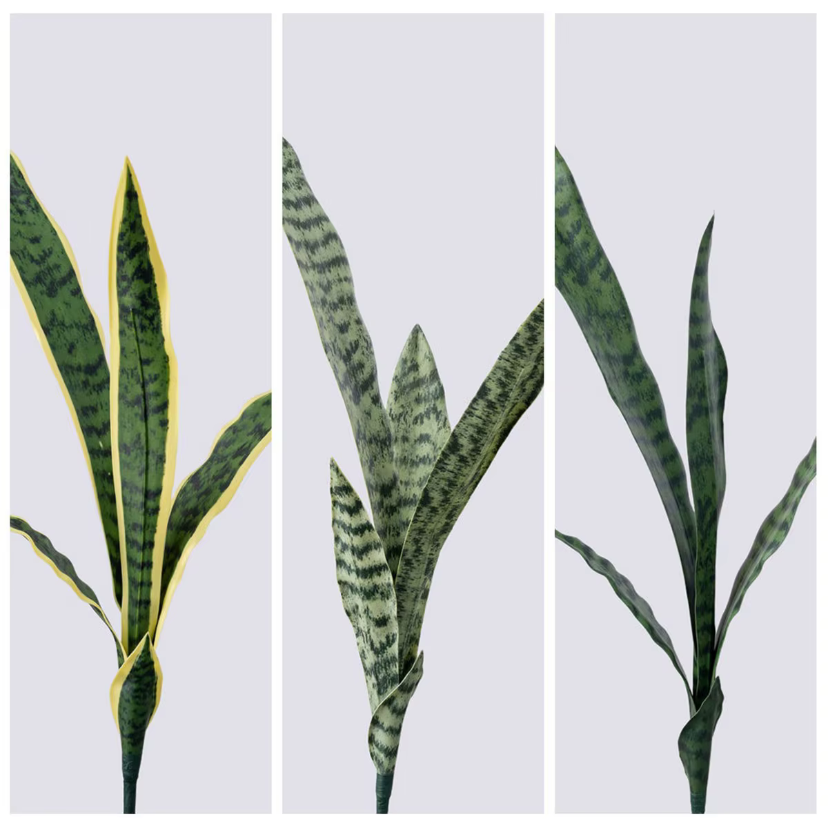 Plante Serpent Artificielle pour Décoration Intérieure