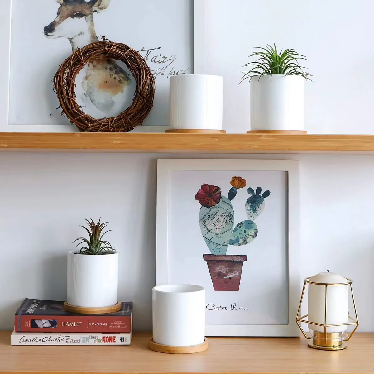 Jardinière succulente petit Pot