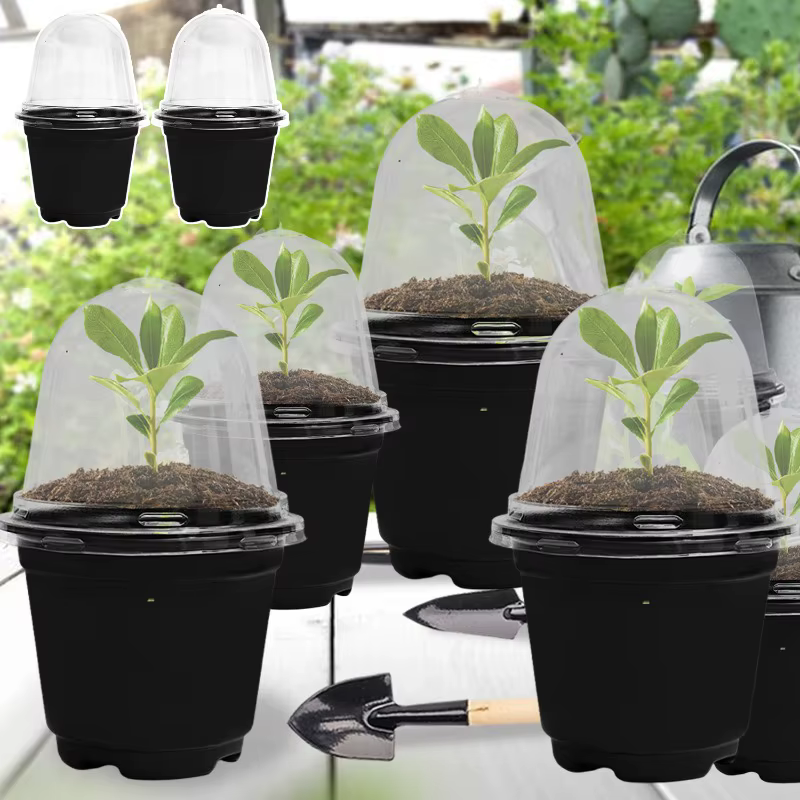 Pots de pépinière de semis