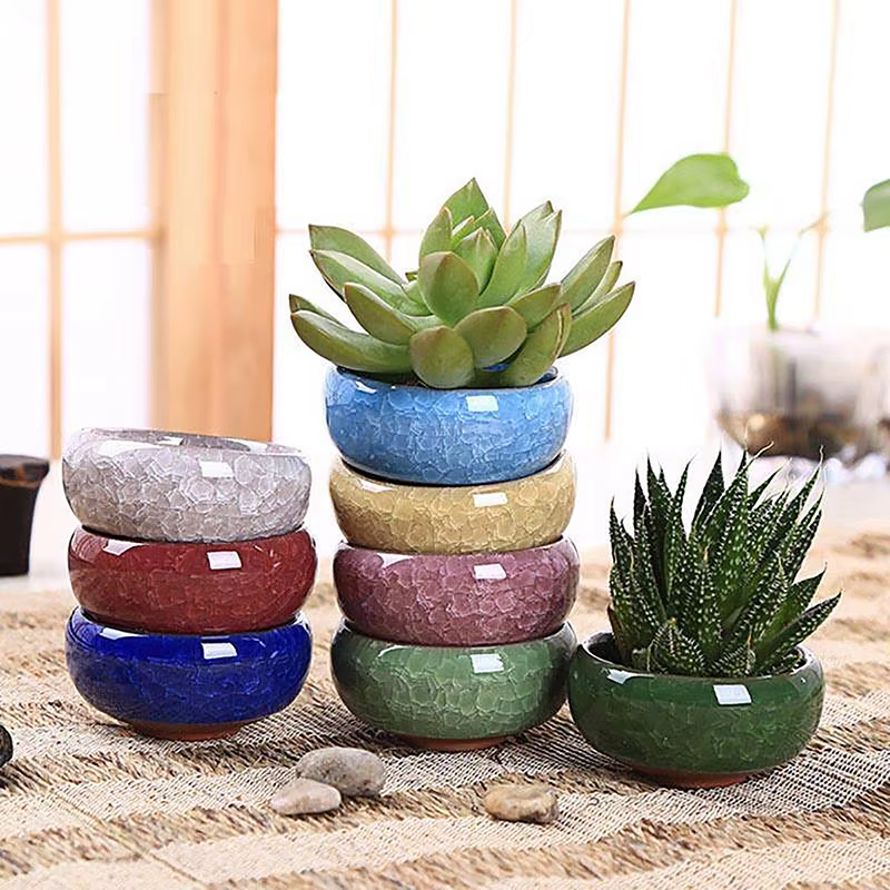 Jardinière succulente en céramique de fleur de glaçure de craquel de glace mignonne Mini Pot de plante Pot