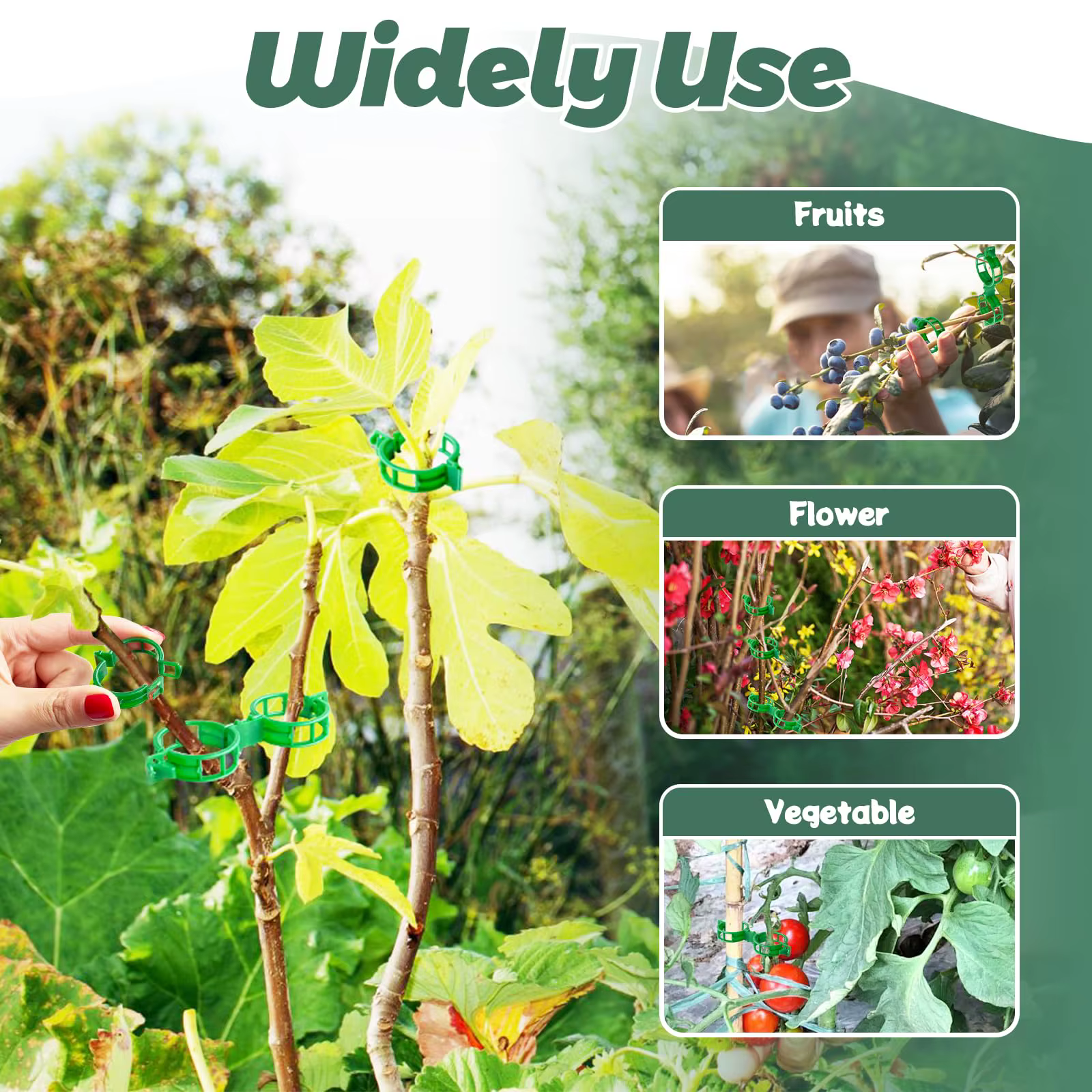 Clips de support pour plantes-Clips à tomates pour treillis de ficelle