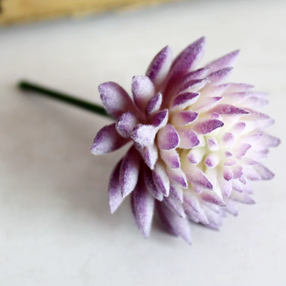 Plantes succulentes artificielles floquées en violet