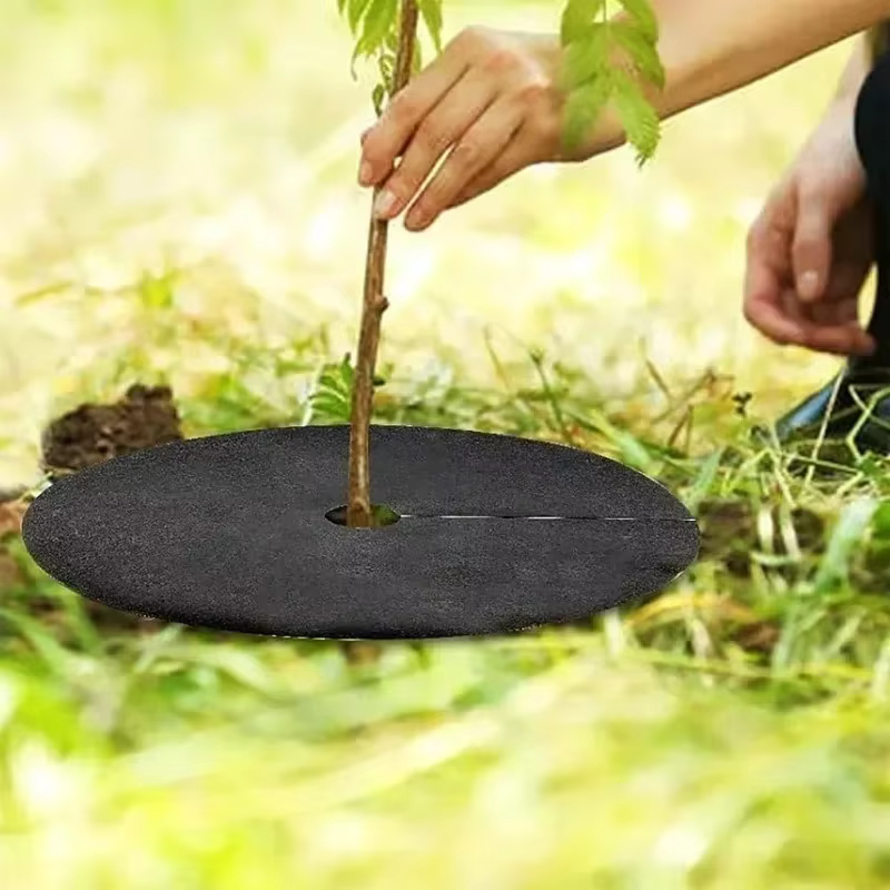 Anneaux de pain d'arbre ronds Anti-herbe