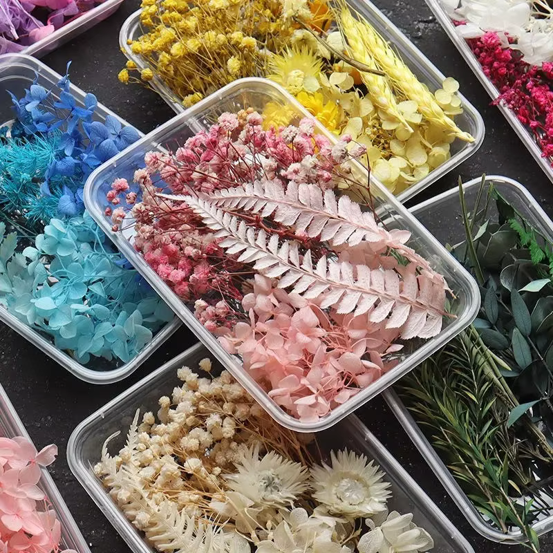 Boîte de fleurs séchées