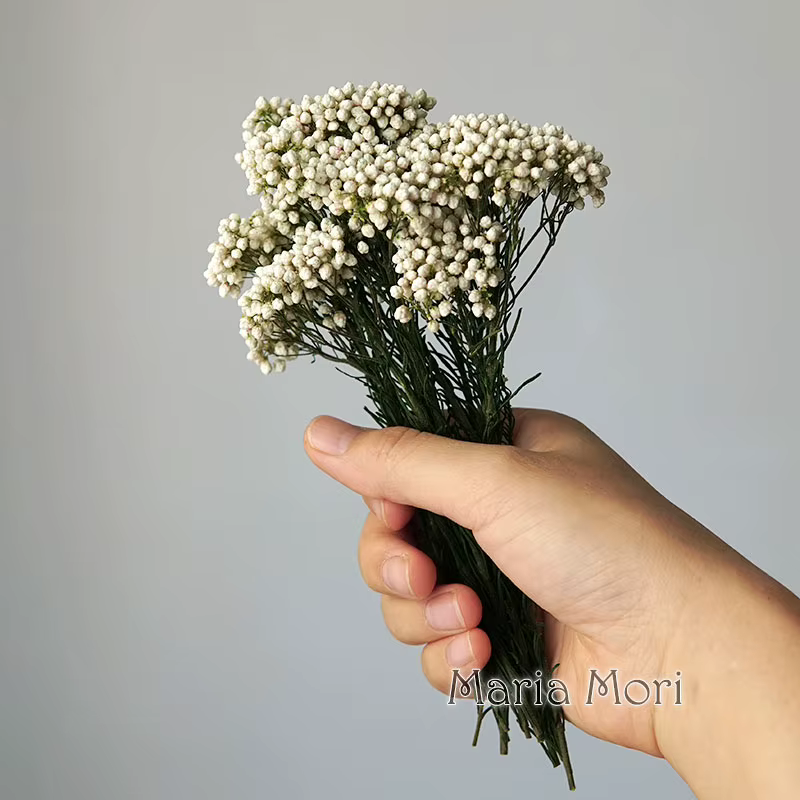 Fleurs de Riz pour Décoration de Maison et Bureau