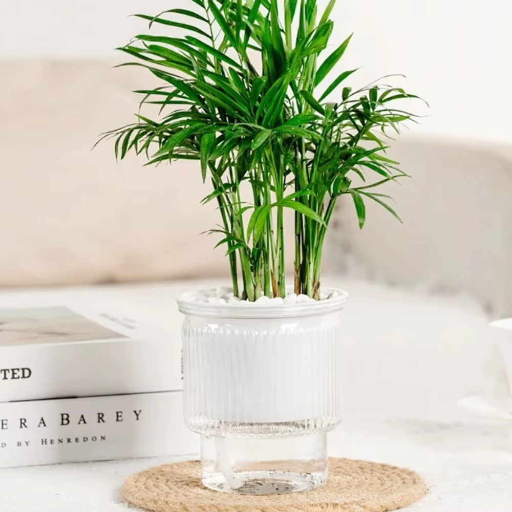 Pot de plantes hydroponiques auto-arrosant de luxe léger