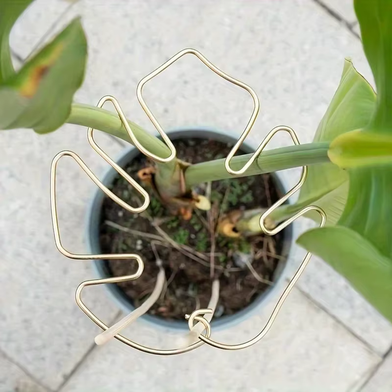 Stabilisateur de plantes