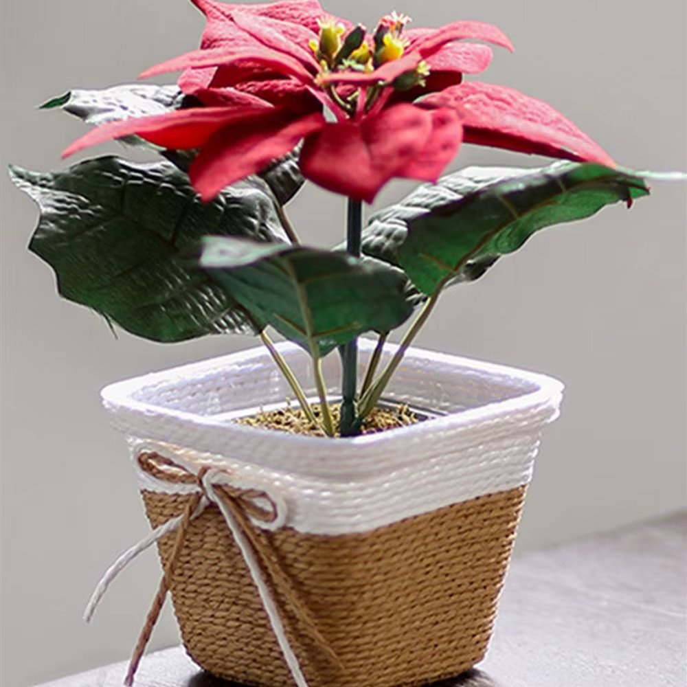 Pot de fleur tressé en corde de papier