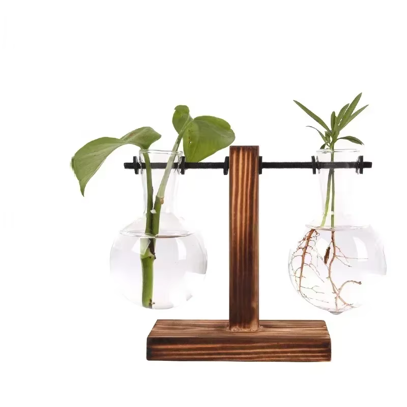 Plante hydroponique Terrarium Vasevase décoration maison bouteille en verre