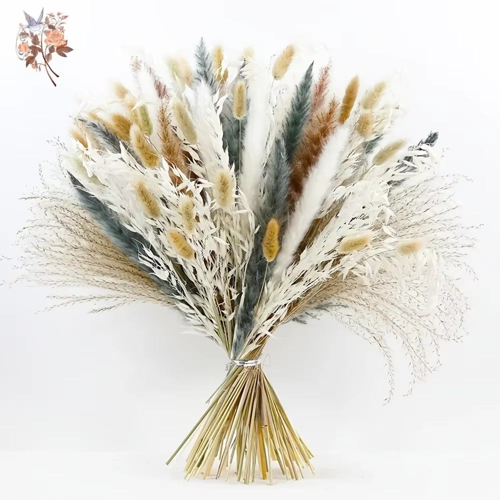 100 Pièces de Fleurs Séchées Naturelles de Pampas Moelleuses