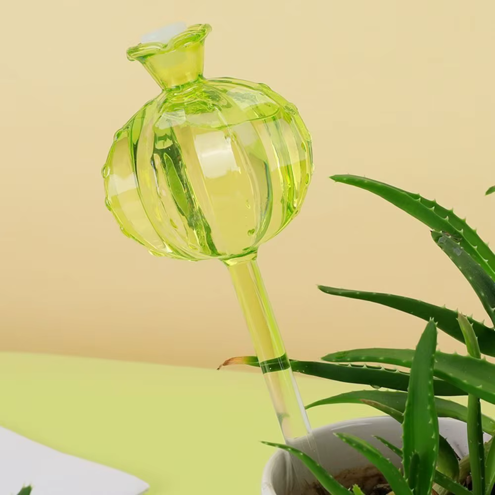 Planteur d'arrosage automatique en verre