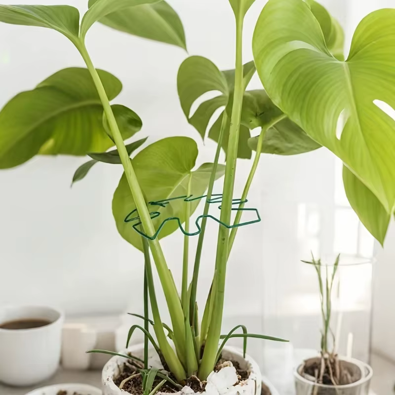 Support de plante en métal en forme de feuille de Monstera