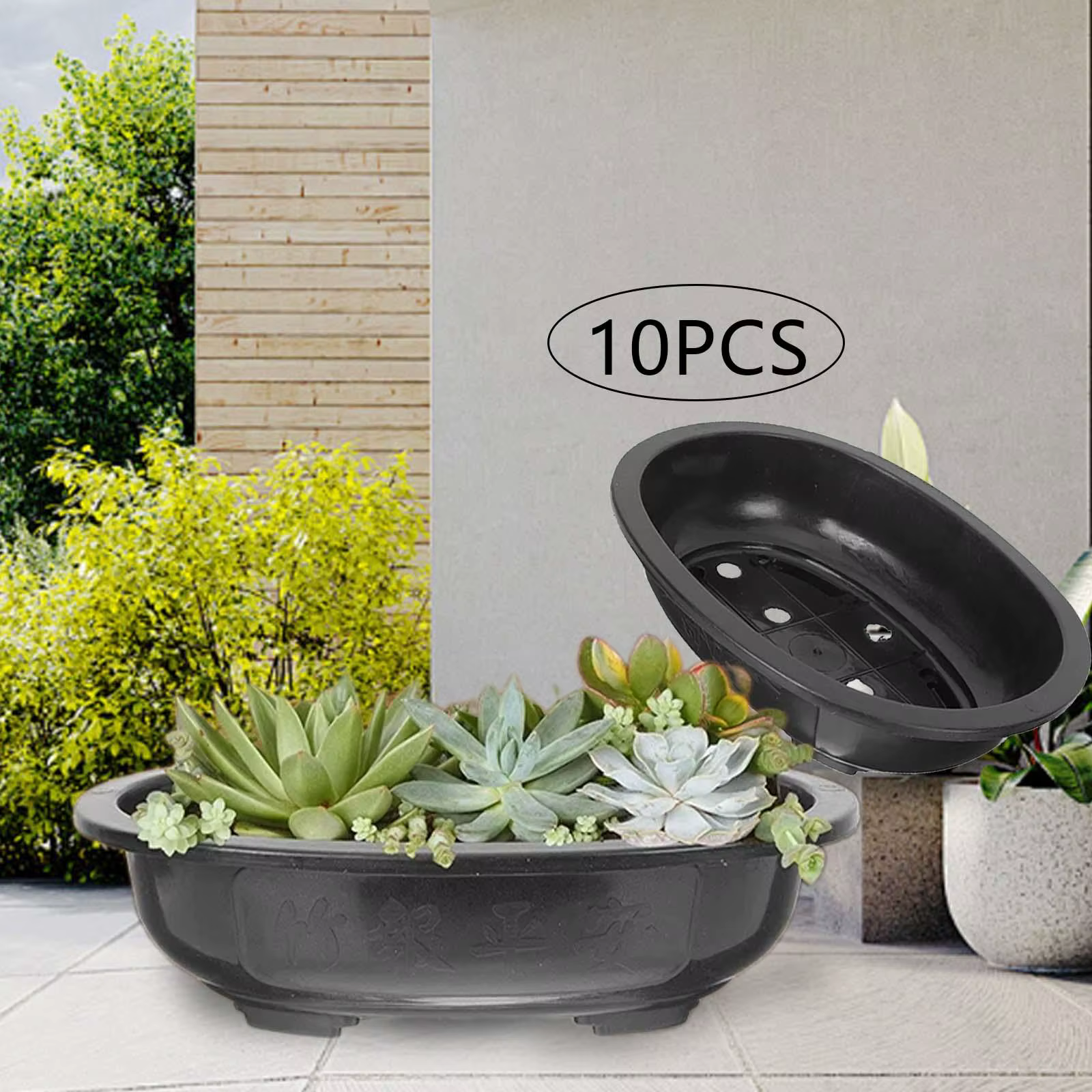 Pots de formation de bonsaï pour plantes