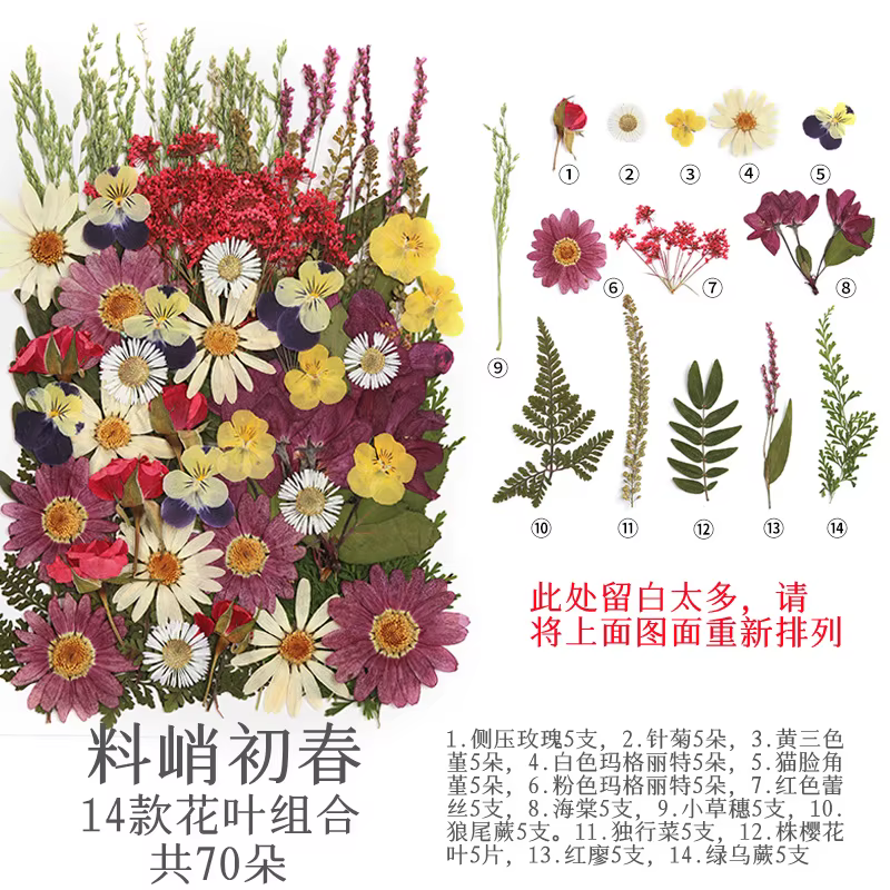 Pack de matériaux de fleurs séchées et pressées