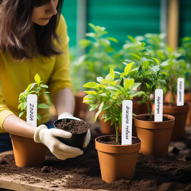 100 étiquettes de plantes de jardin pour l'extérieur