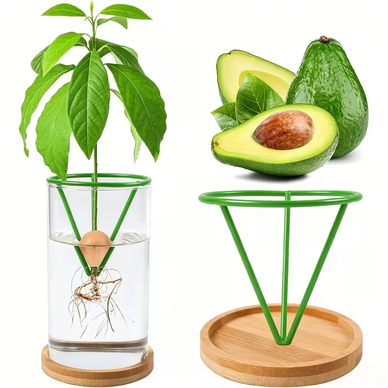 2 pots de support pour graines hydroponiques – Contenants coniques verts
