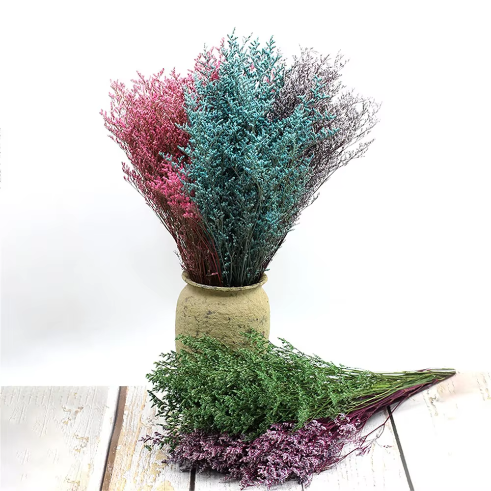 Bouquet de fleurs d'amant séchées naturelles