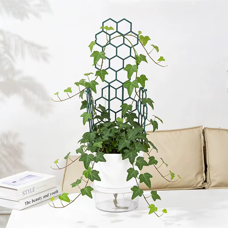 Support pour Plantes Grimpantes pour Balcon