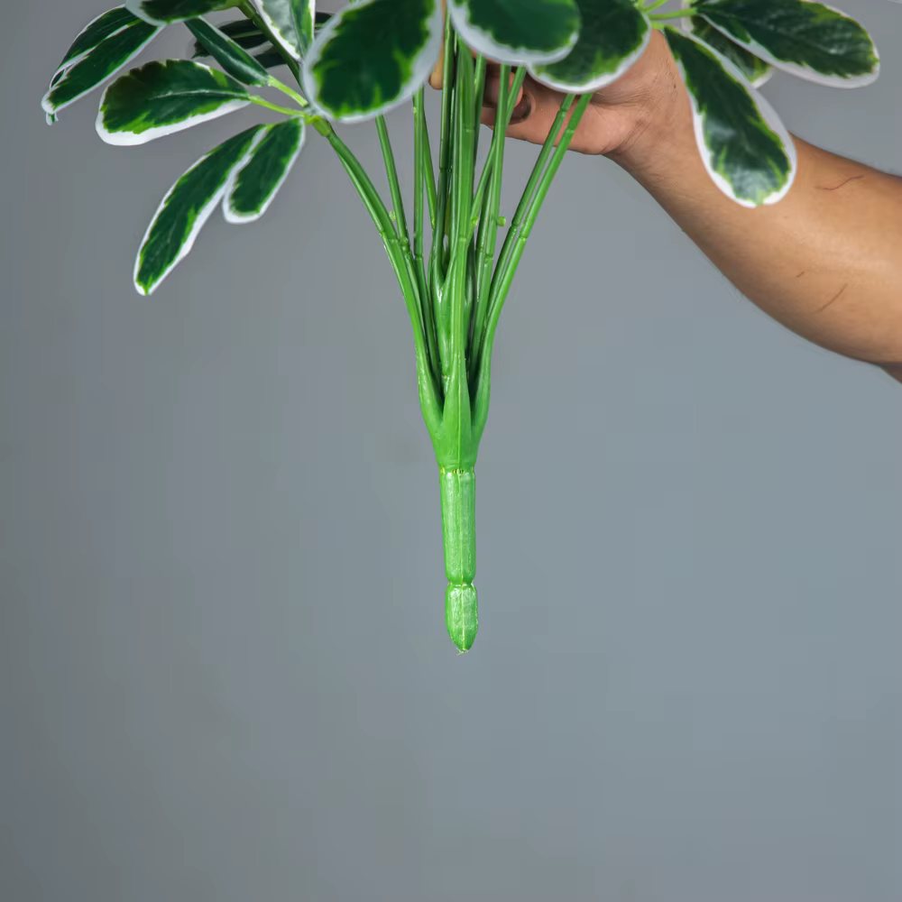 Plantes artificielles Maranta de 50-75 cm