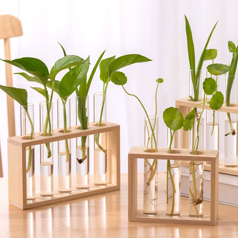 Conteneur de plantes hydroponiques avec cadre en bois