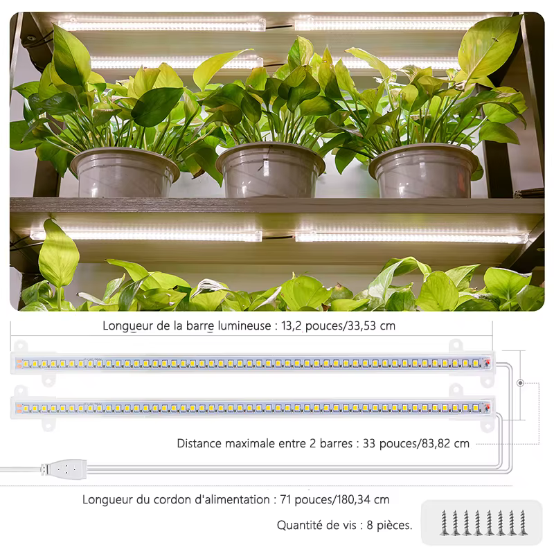 Lampe Phyto de lumière de croissance d'intérieur pour plantes Kits hydroponiques Phytolamp à spectre complet