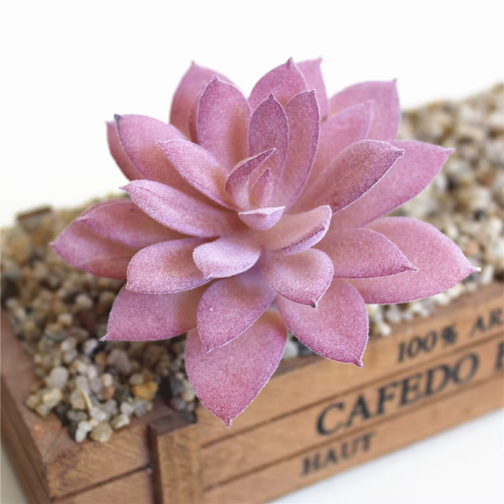 Plantes succulentes artificielles floquées en violet