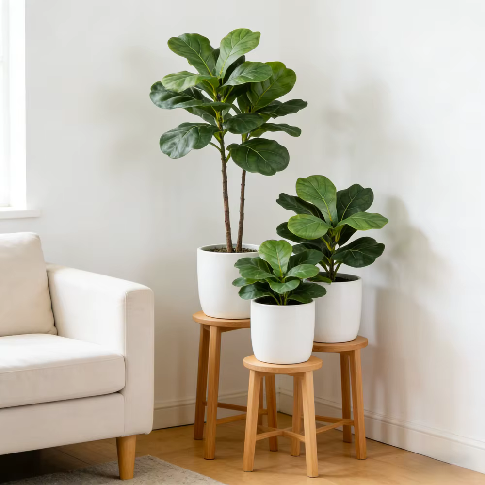 Plantes artificielles de banian de 38-70 cm