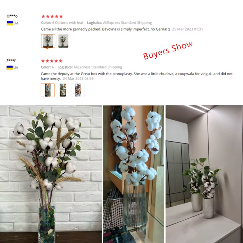 Fleurs de coton séchées naturellement