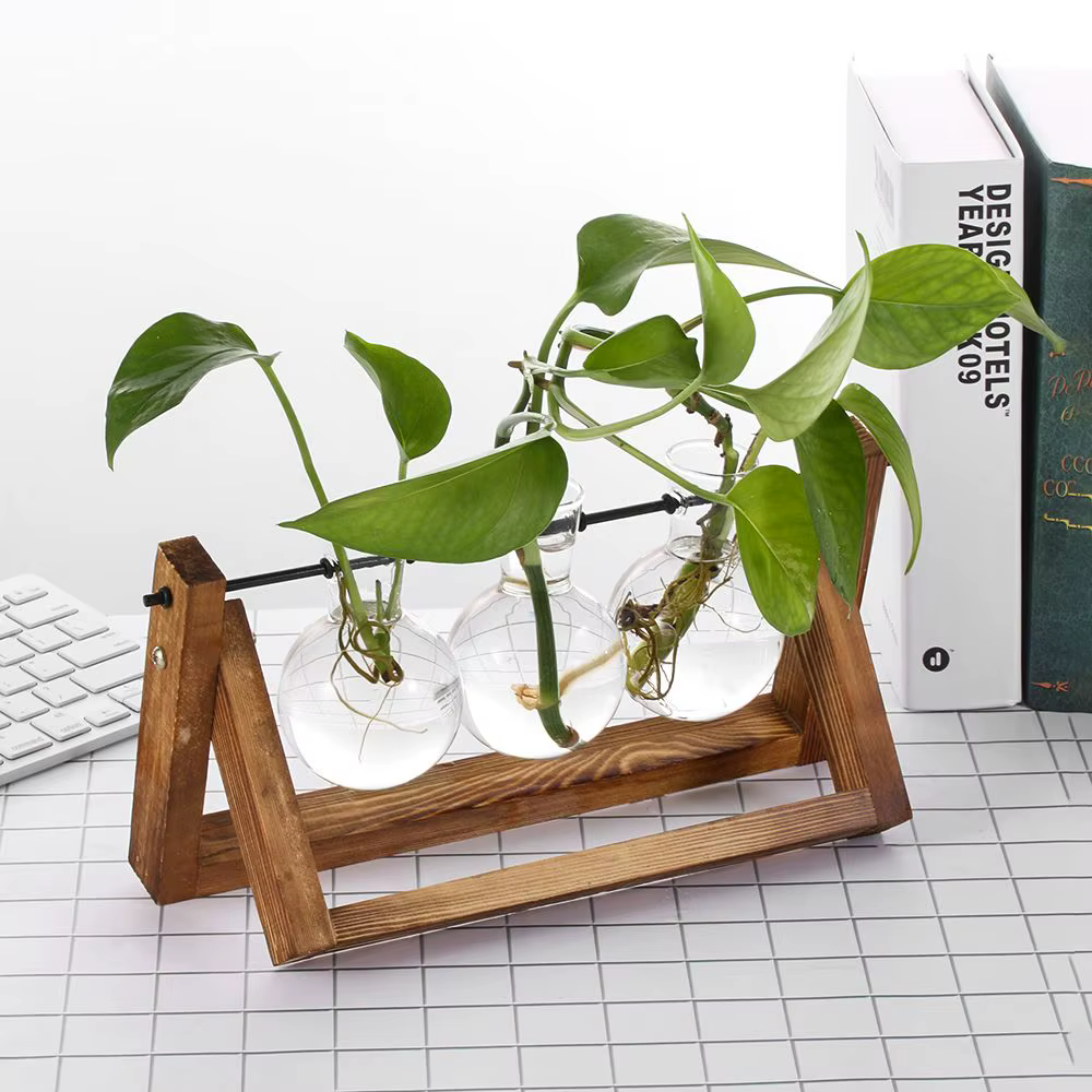 Vase en verre pour plantes hydroponiques