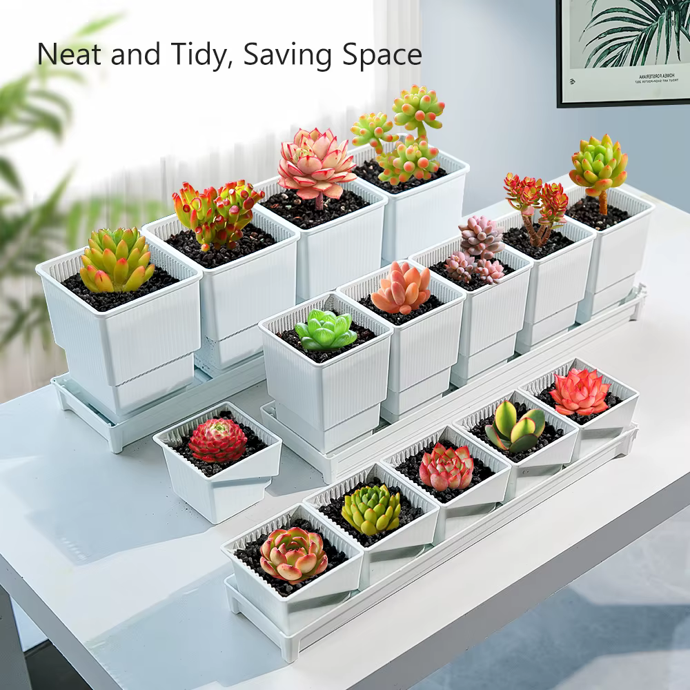 Meshpot – jardinières succulentes avec plateau en plastique