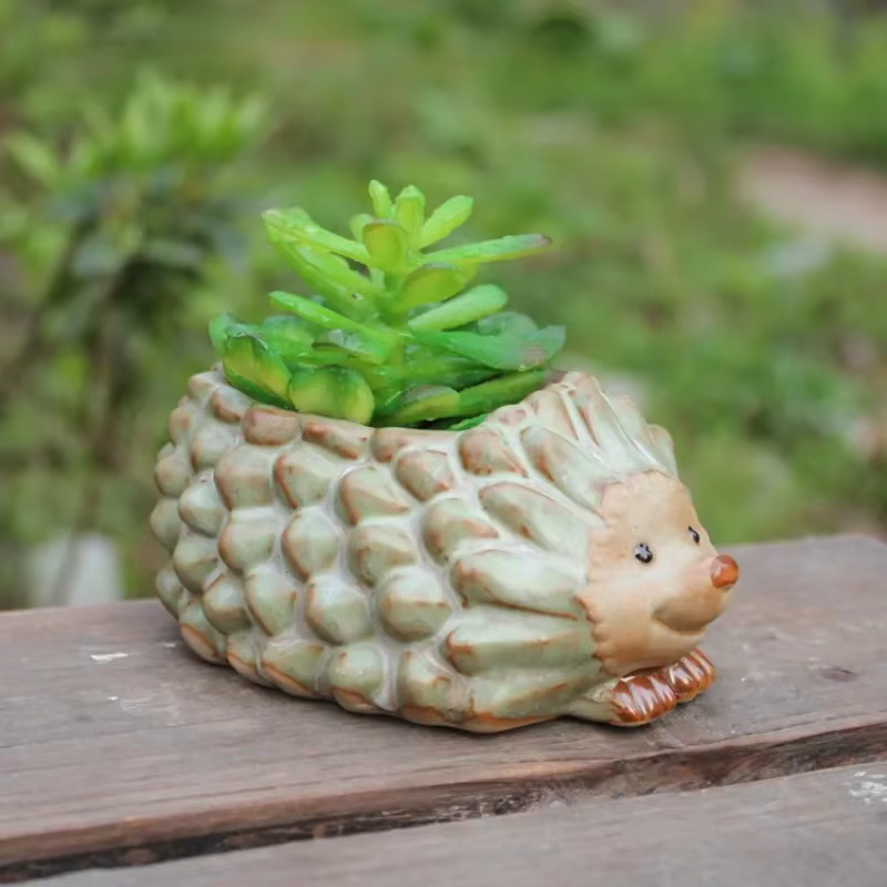 Pot de plantes succulentes en céramique