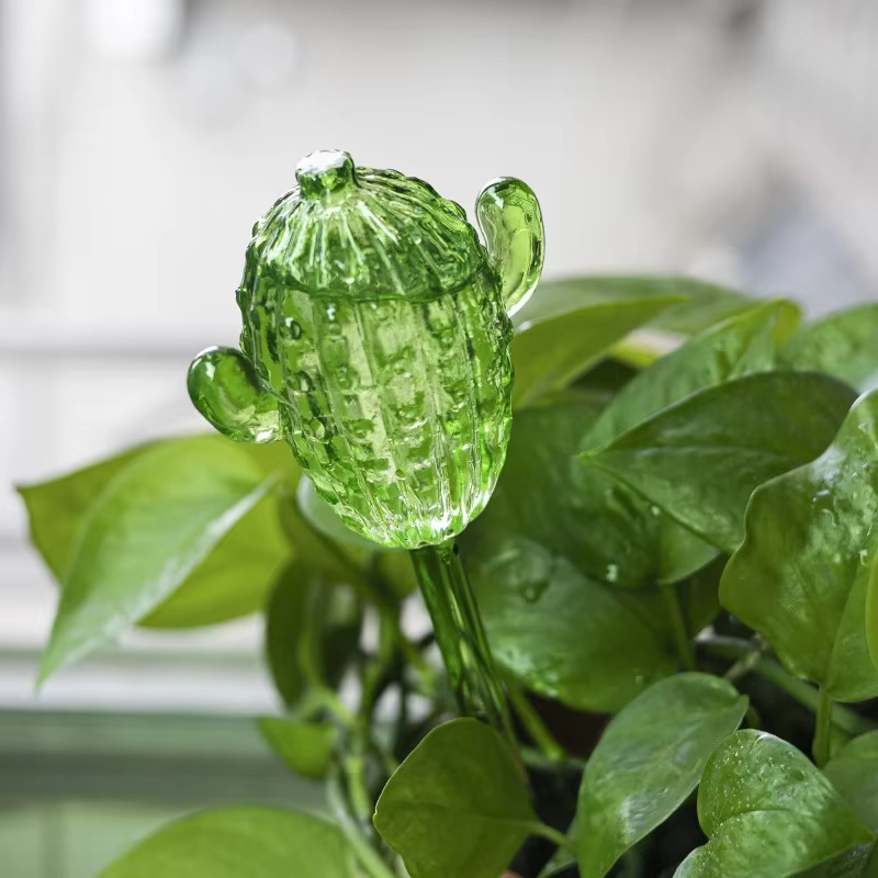 Distributeur d'eau pour plantes en verre