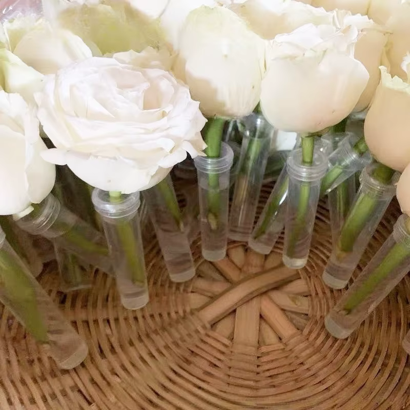 Tube de Nutrition de fleurs fraîches en plastique