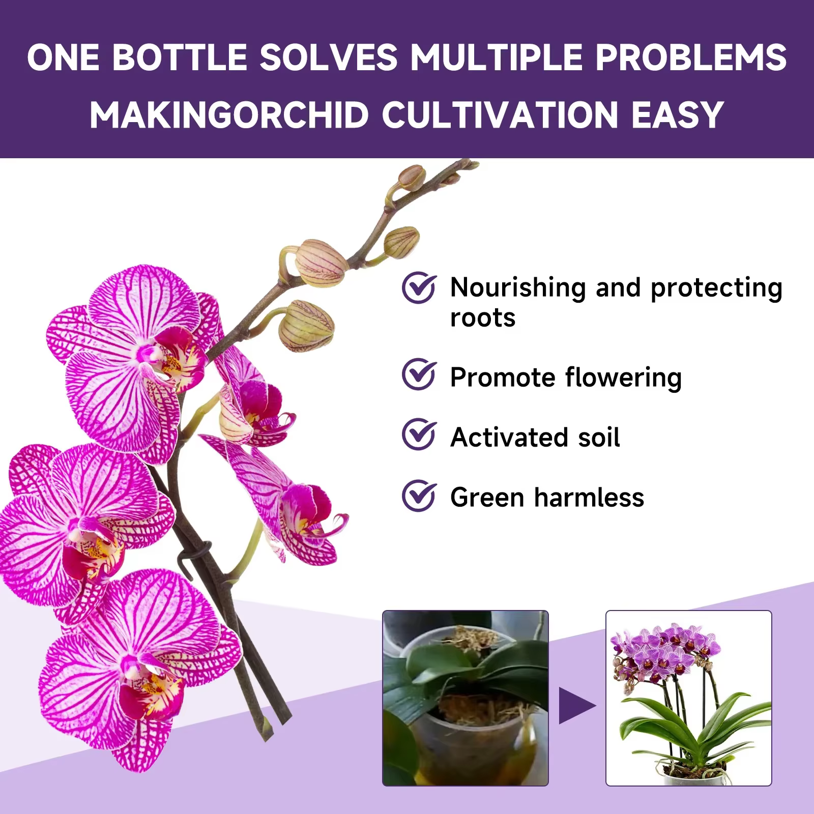 Engrais liquide spécial pour fleurs d'orchidées