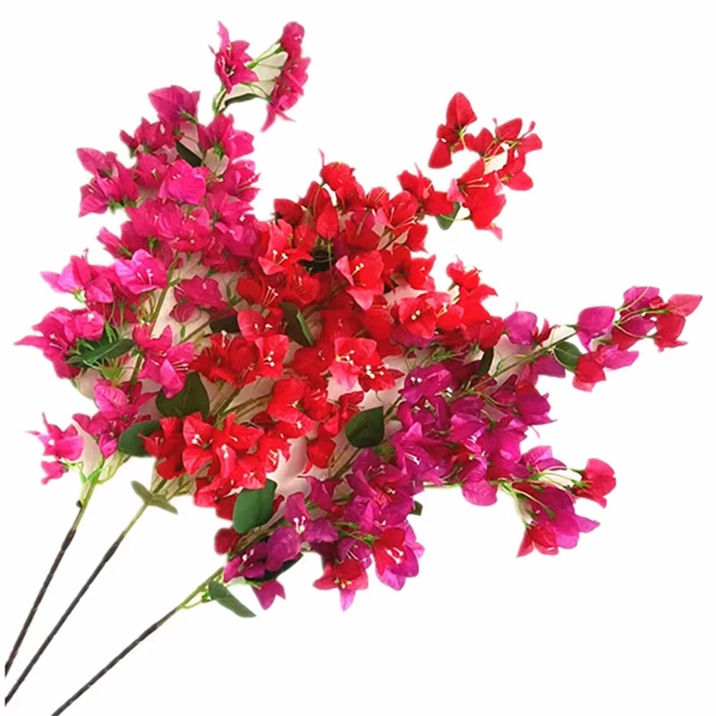 Tapis Bougainfalse Élavec longue tige, fleur, branche d'arbre, 5 pièces