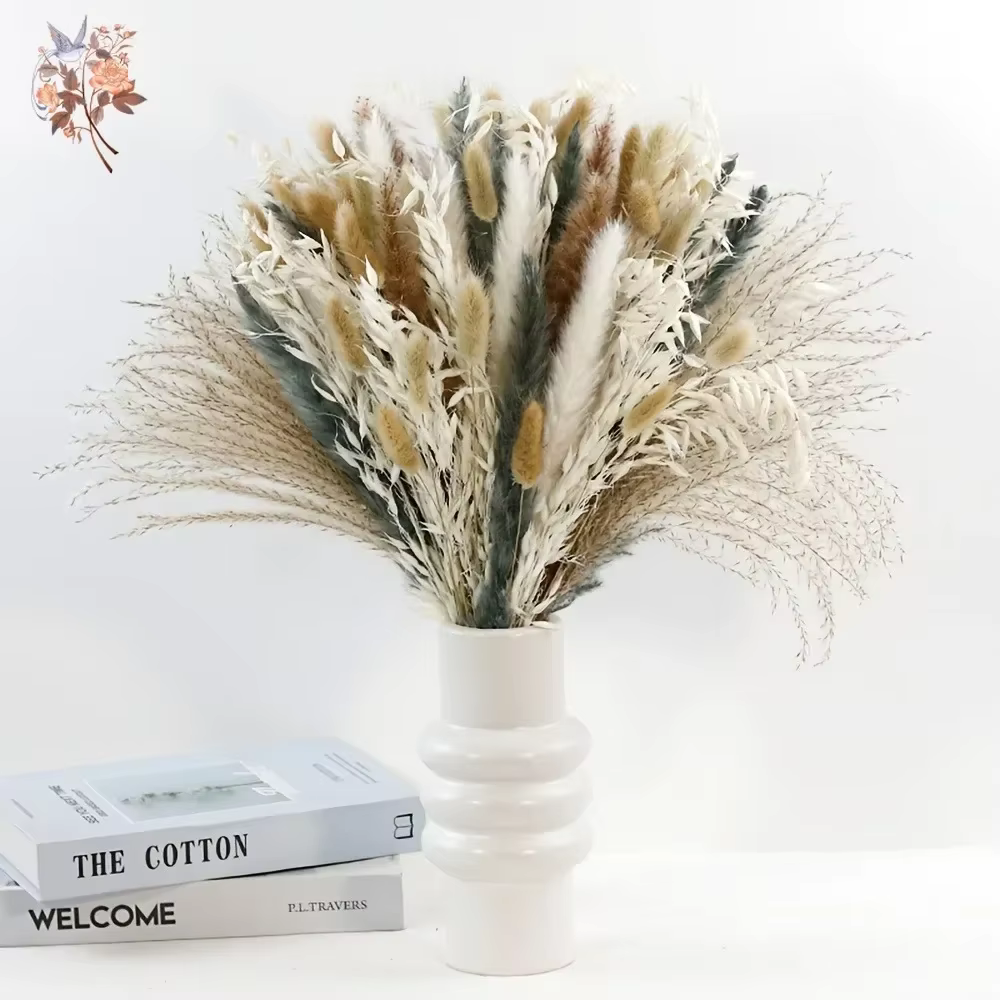 100 Pièces de Fleurs Séchées Naturelles de Pampas Moelleuses