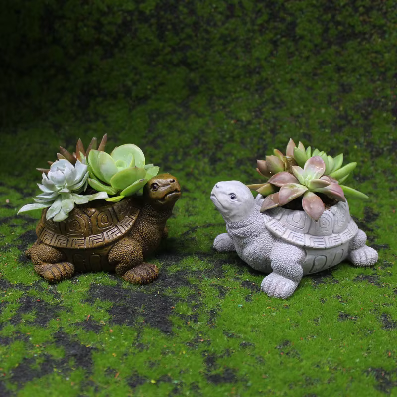 Pot de fleur succulente tortue de dessin animé