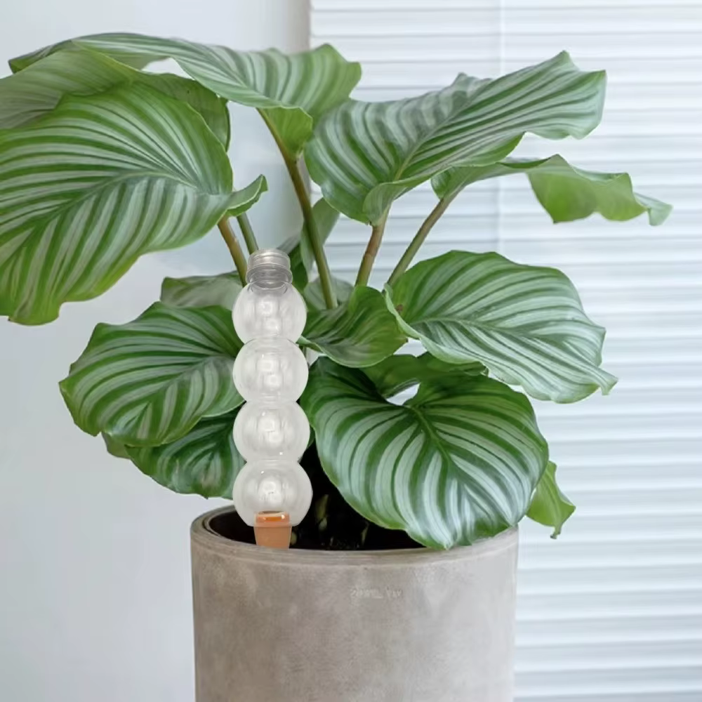Insert de bouteille d'irrigation goutte à goutte pour plantes auto-arrosantes