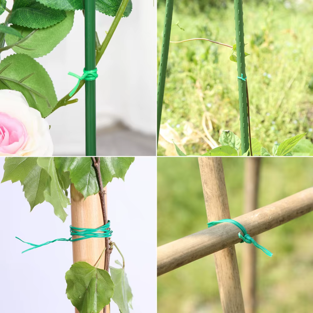 Plante de jardin grimpante avec clip