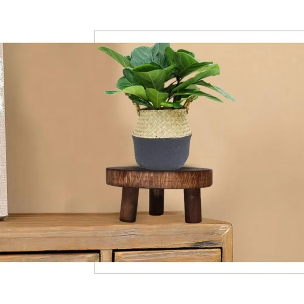 Tabouret de support de base de pot de fleur de plante en bois