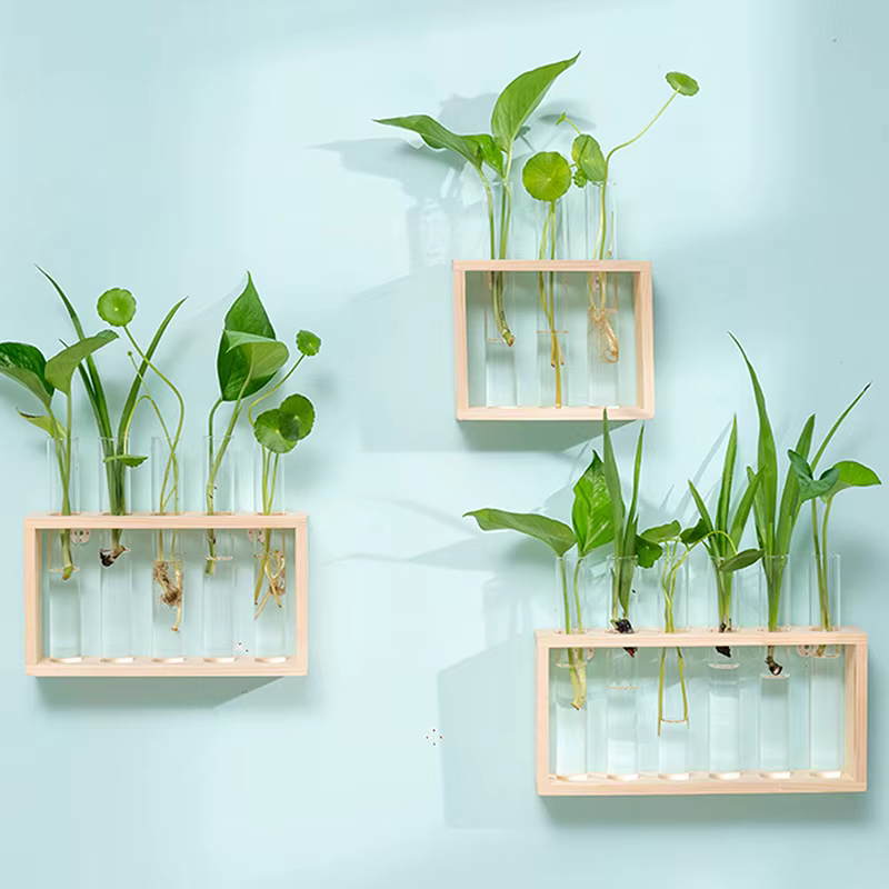 Conteneur de plantes hydroponiques avec cadre en bois