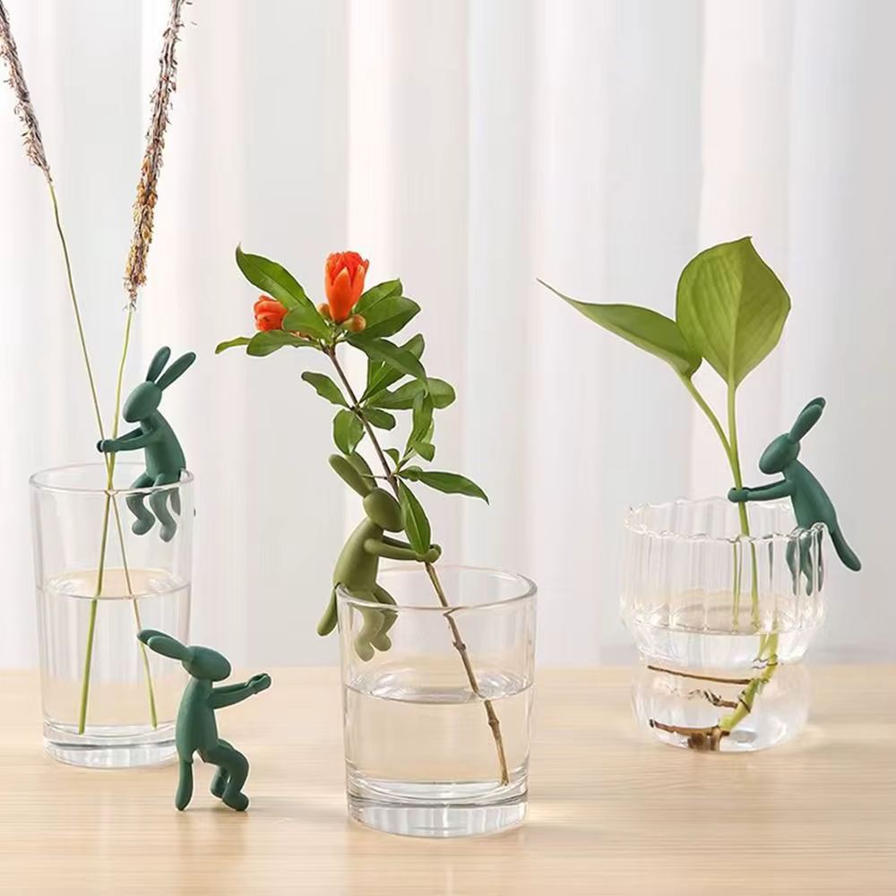 Propagation de plantes en Silicone