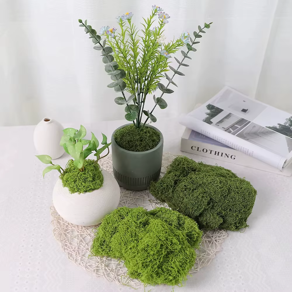 30/100g plantes vertes artificielles mousse vie éternelle
