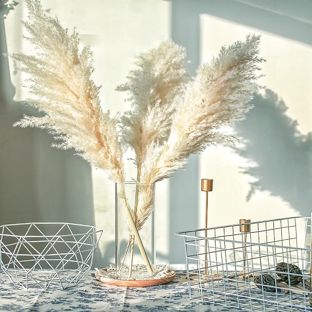 Décoration d'herbe de Pampa Boho 60cm
