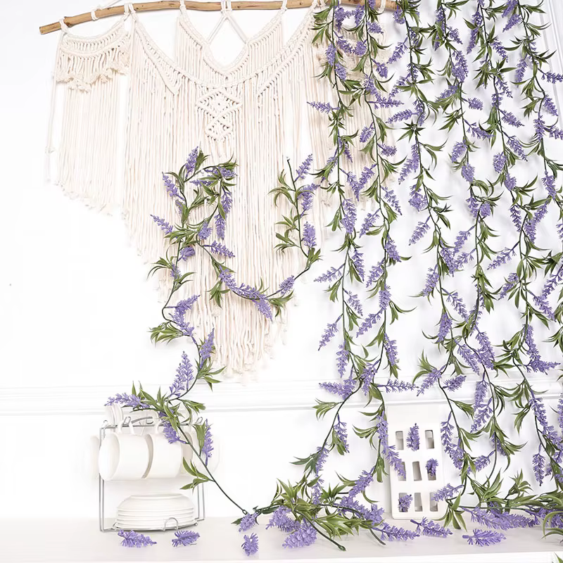 Plante de décoration pour la maison