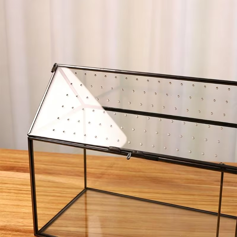 Boîte terrarium en verre pour exposition plantes