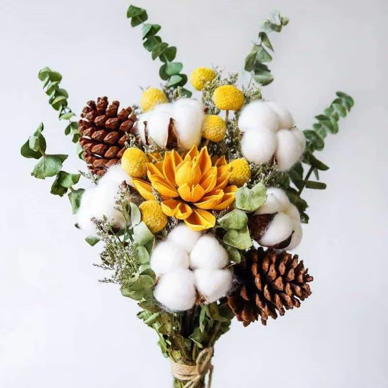 Fleurs de coton séchées naturellement